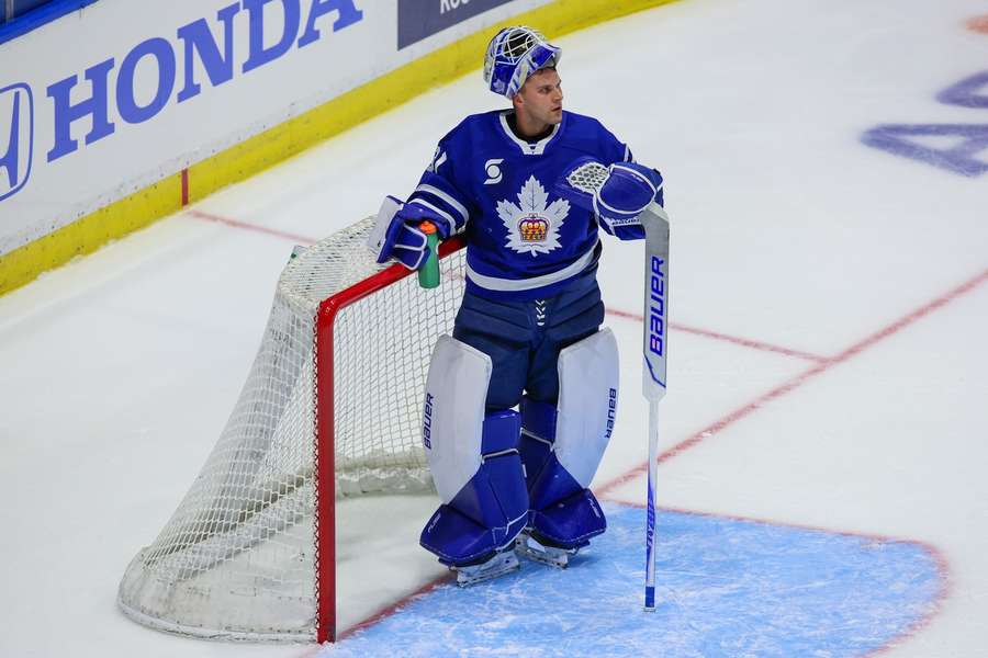 Hlavaj prispel k triumfu Marlies. Hlavaj prispel k triumfu Marlies.