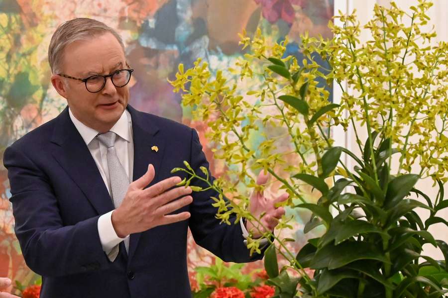 Australian prime minister Anthony Albanese