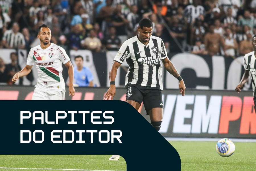 Botafogo é o líder isolado do Brasileirão