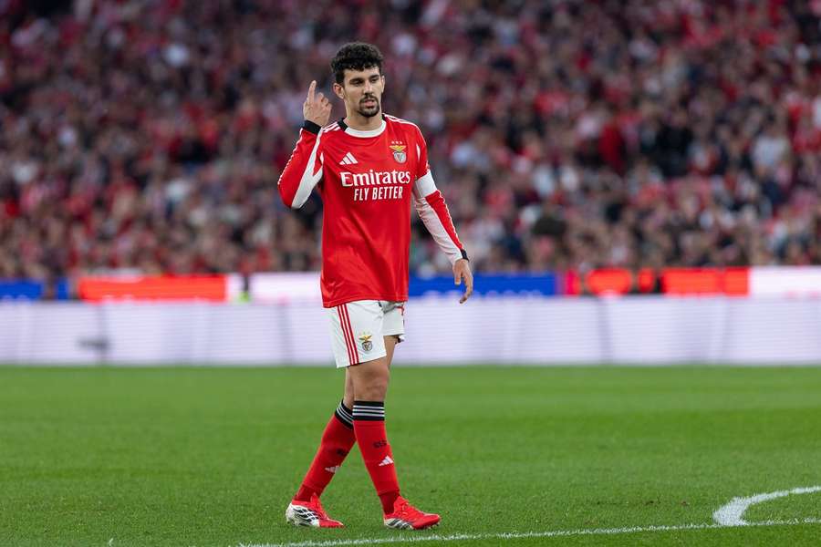 Tomás Araújo, central do Benfica