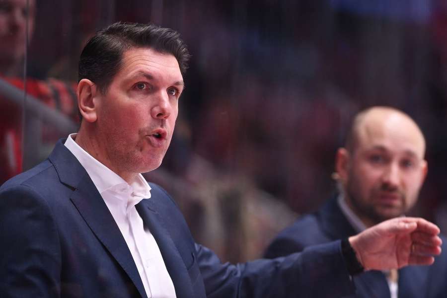 Žabka na lavičce Třince.