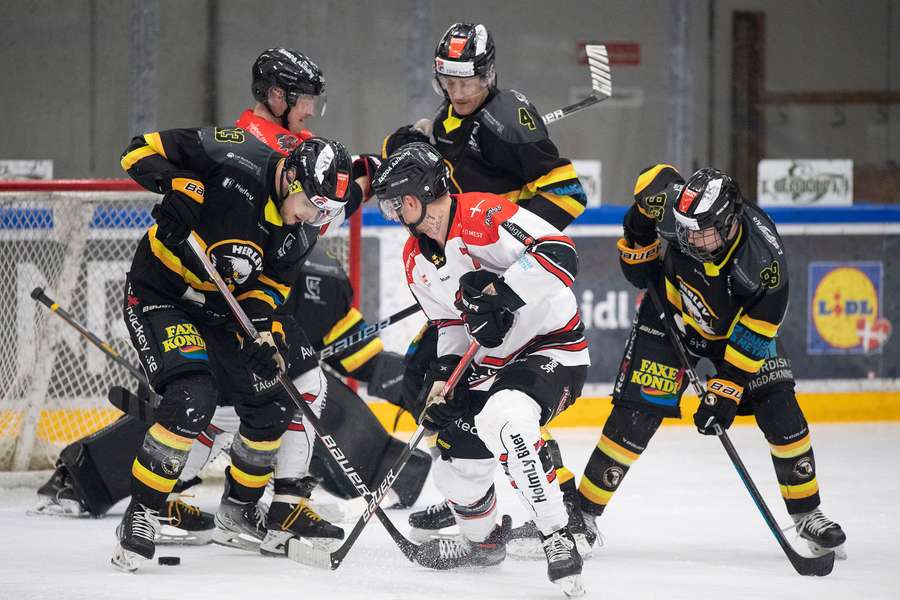 Herlev Eagles og Aalborg Pirates mødes i DM semifinalen i Metal Ligaen