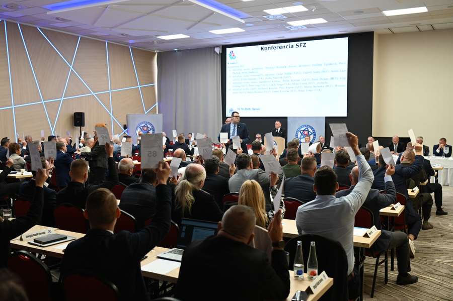 Delegáti DFZ počas konferencie. Delegáti DFZ počas konferencie.
