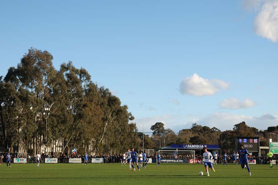 Avondale FC's Avenger Park will host one of the four quarter-finals of the inaugural 2025 Australian Championship. 
