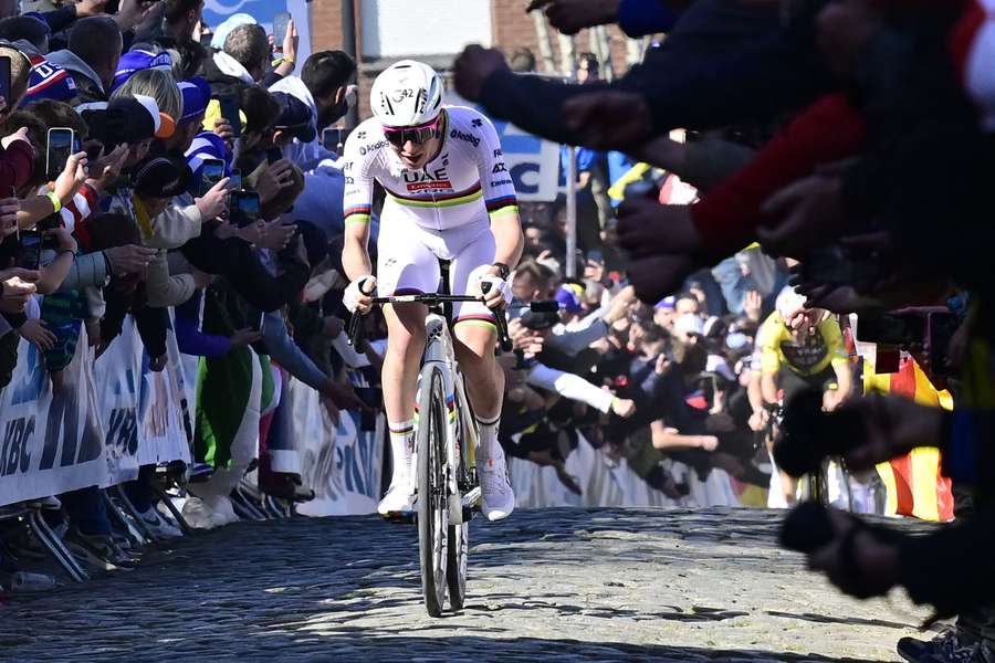 Pogacar revanchiert sich in Flandern für die Schlappe in Sanremo