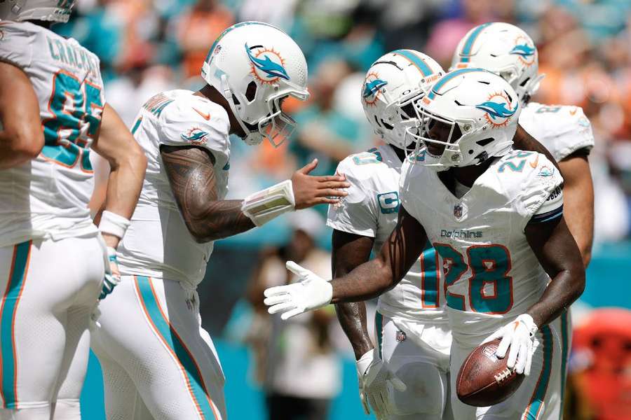 Miami Dolphins já possui registro no Brasil e vem investindo no contato com o público brasleiro