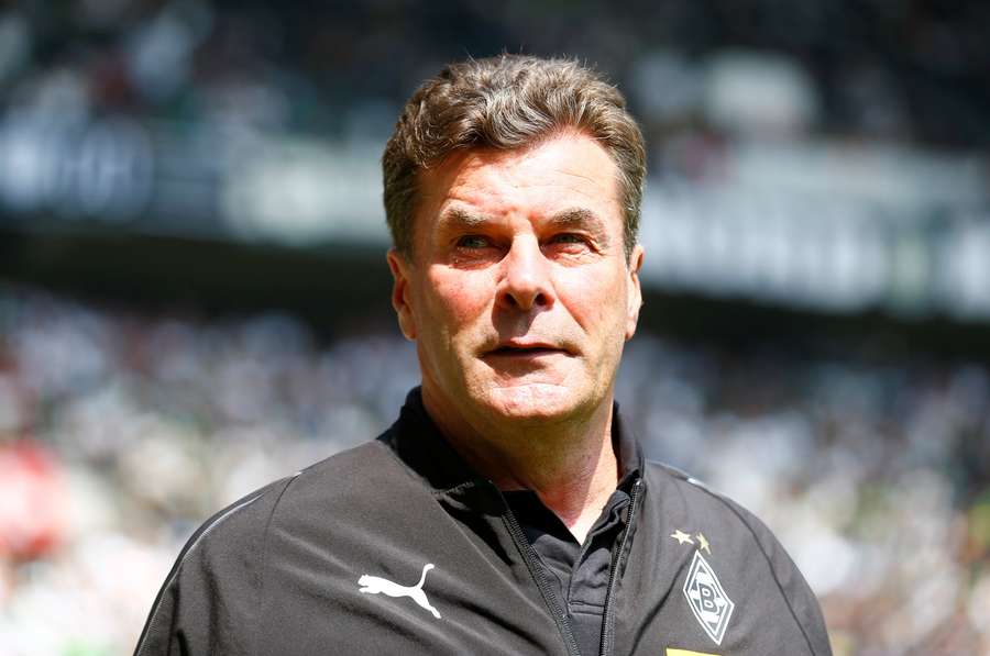 Hecking has plenty of Bundesliga experience