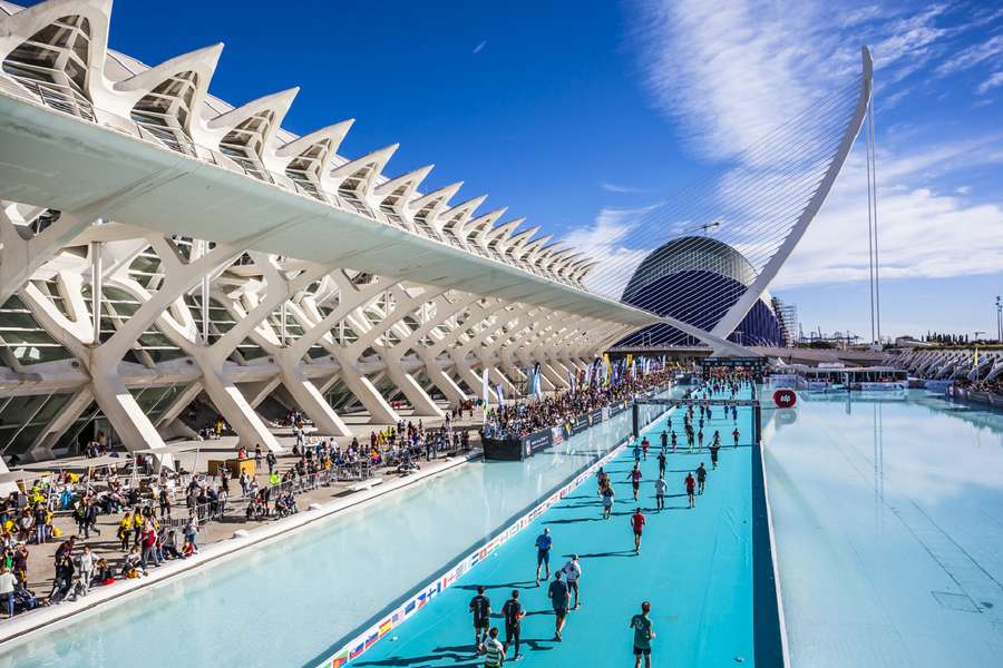 Rumbo a la meta del maratón: cinco libros para aprender sobre la distancia reina