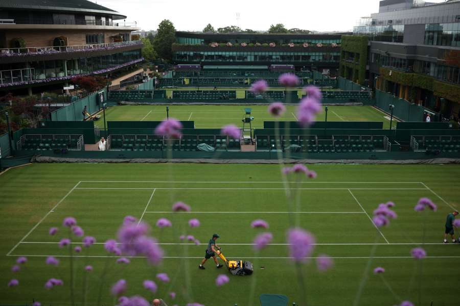 The pitches are prepared at Wimbledon The pitches are prepared at Wimbledon