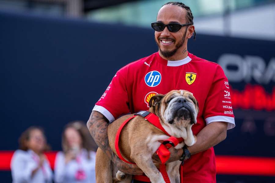 Lewis Hamilton fotografado com o seu cão Roscoe antes do Grande Prémio da Grã-Bretanha