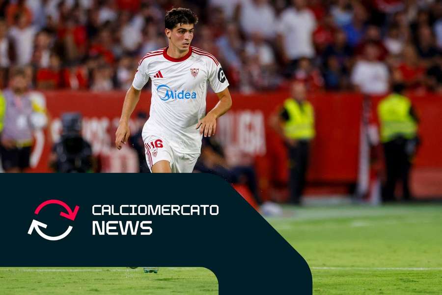 Martin Terrier Martin Terrier