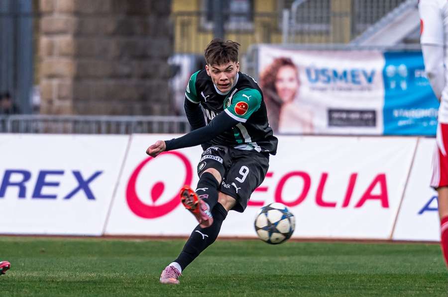 Malženice sa v Liptovskom Mikuláši nepresadili.