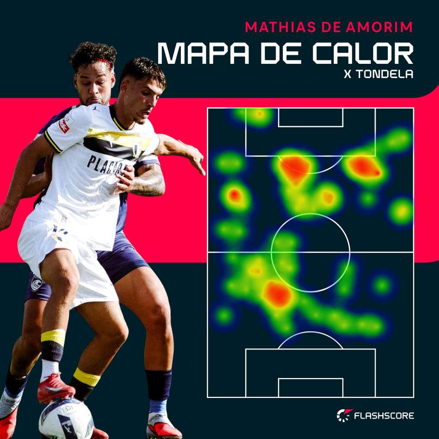 Os terrenos ocupados por Mathias de Amorim diante do Tondela