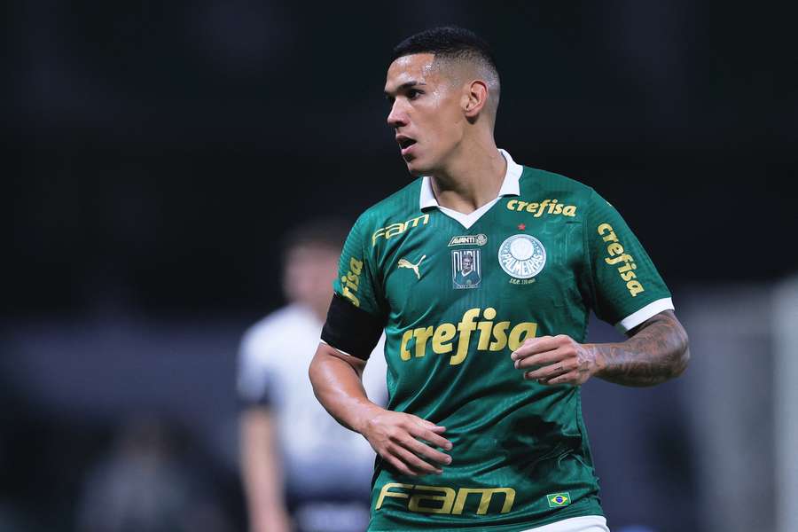 Naves em ação pelo Palmeiras na última temporada
