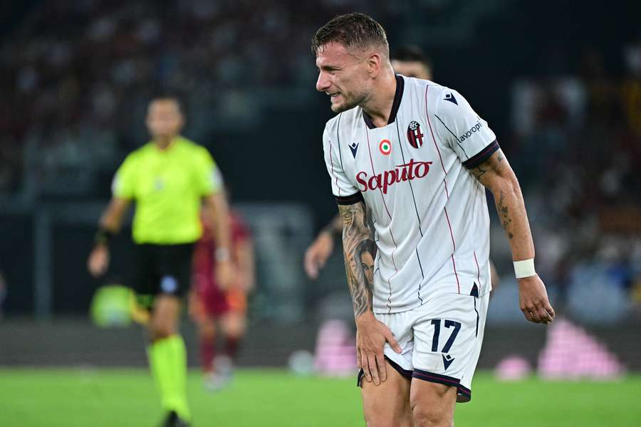 Immobile, blessé. Immobile, blessé.