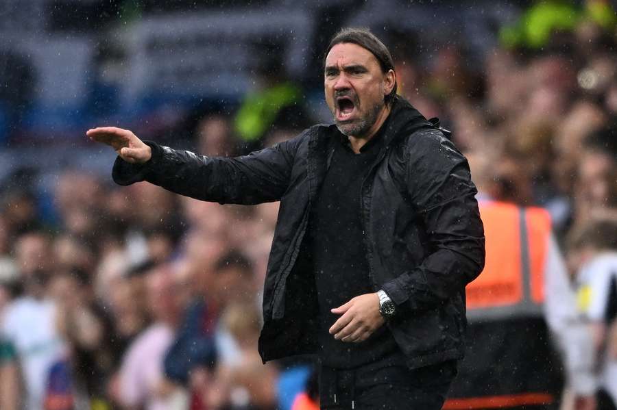 Daniel Farke on the touchline barking orders