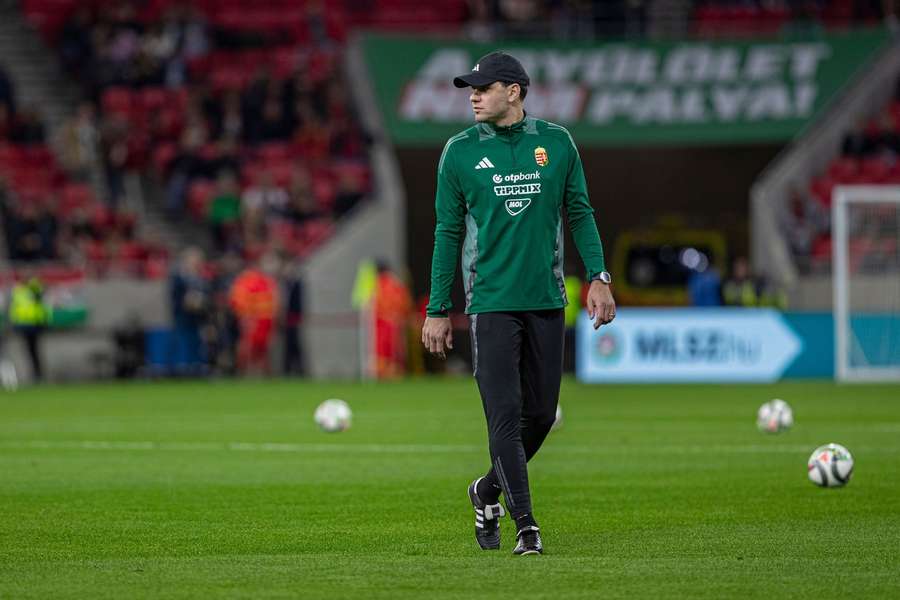 Adam Szalai beim Hinspiel gegen die Niederlande.