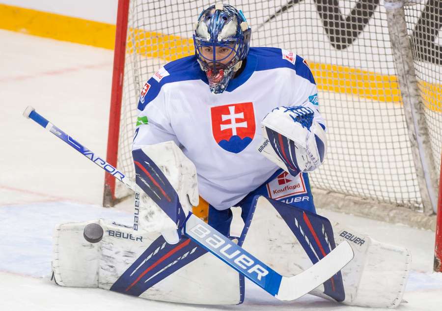 Matej Tomek v reprezentačnom drese Slovenska. Matej Tomek v reprezentačnom drese Slovenska.