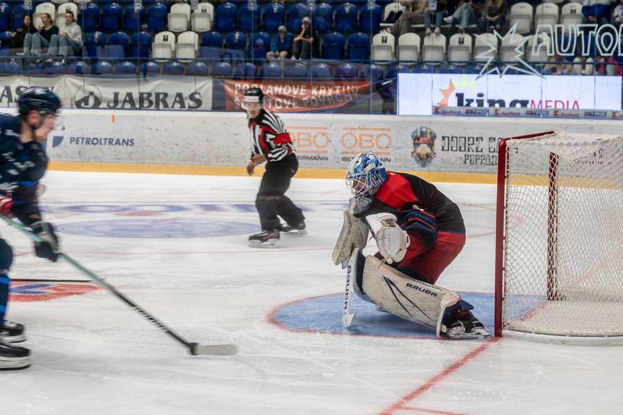 Fitzpatrick by sa mohol zaradiť medzi hviezdy Tipos Extraligy.