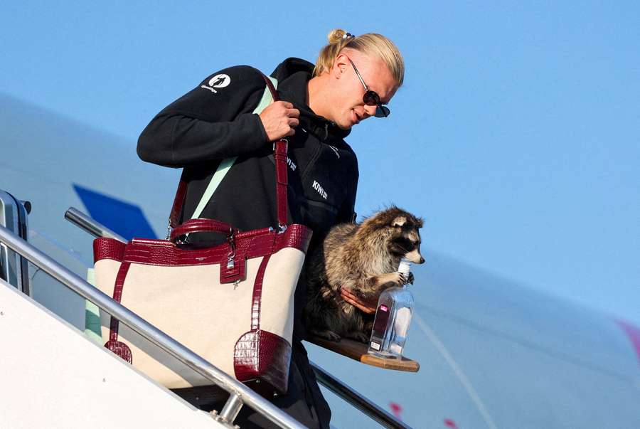 Erling Haaland returns from World Cup with a racoon: It followed me home...