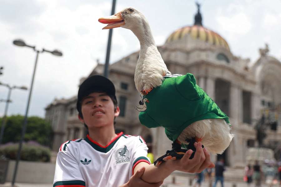 Ente Merlin soll Mexiko als gutes Omen durch die WM tragen.