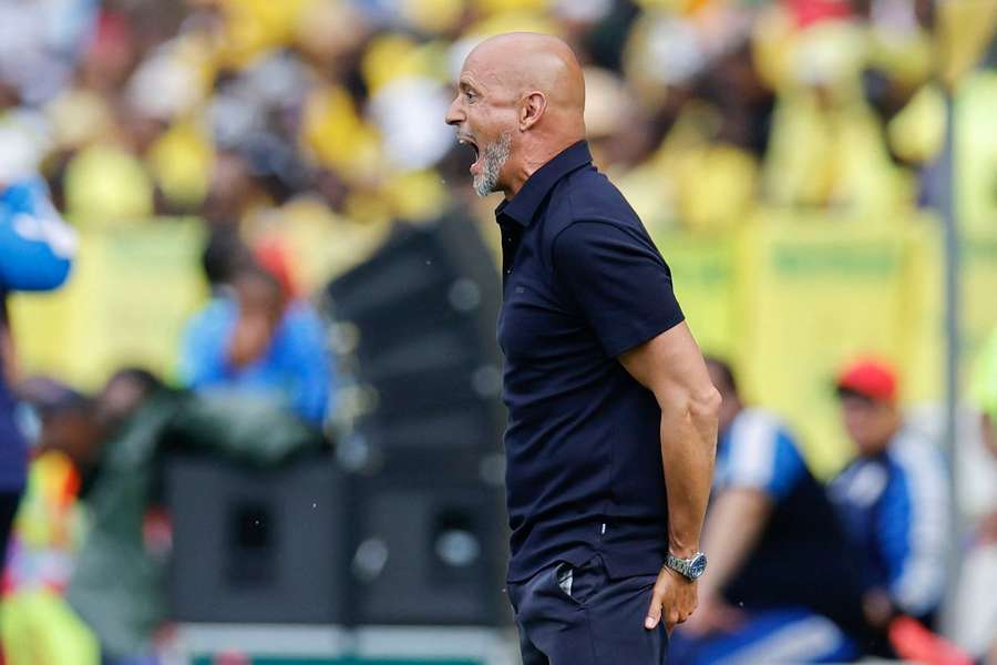 Miguel Cardoso, treinador do Mamelodi Sundowns
