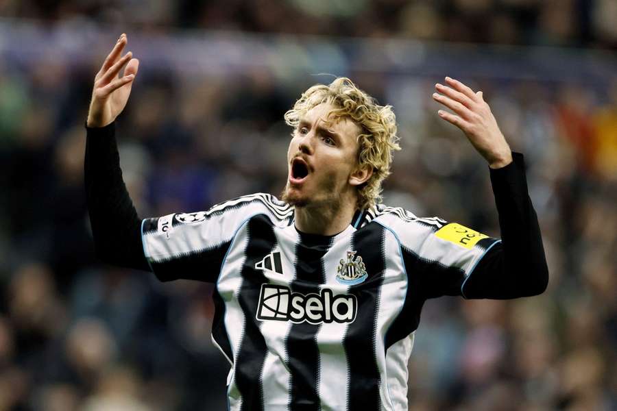 Woltemade ist bei Newcastle eingeschlagen wie ein Blitz. Woltemade ist bei Newcastle eingeschlagen wie ein Blitz.