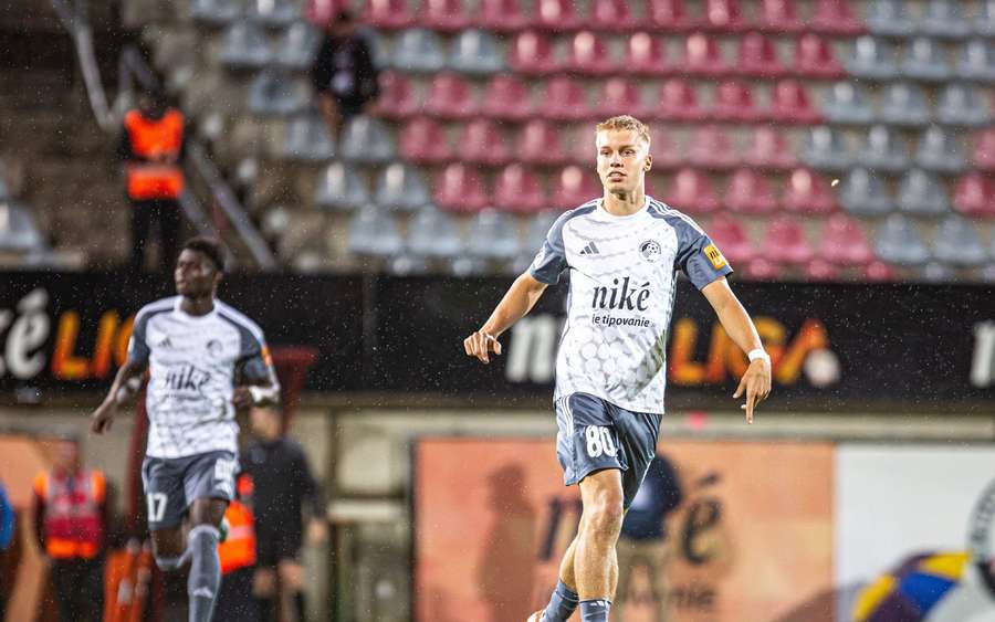 Palumets v drese Podbrezovej. Palumets v drese Podbrezovej.