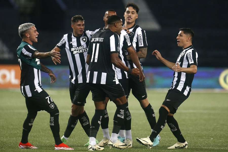 Elenco do Botafogo comemora gol marcado por Júnior Santos