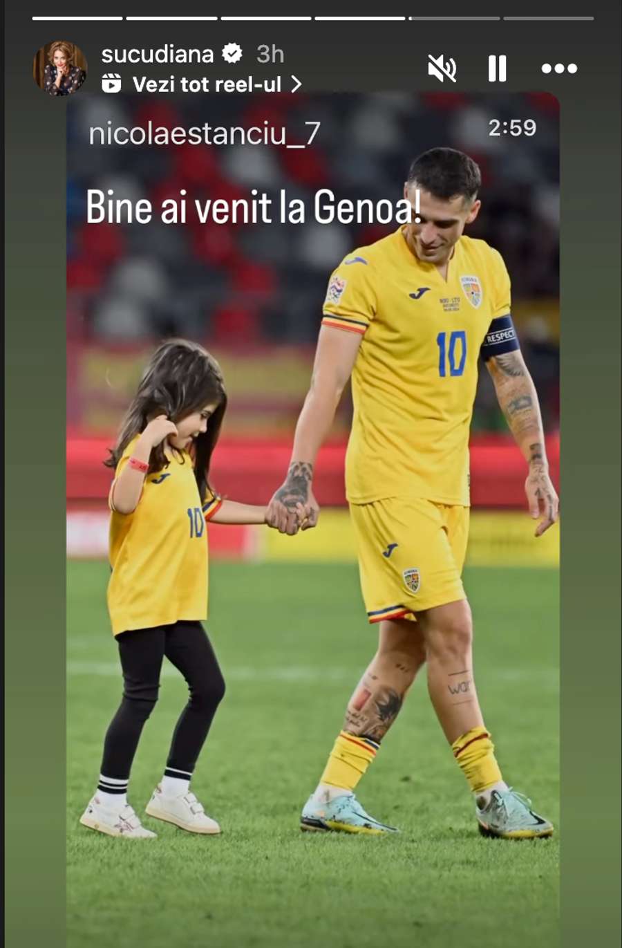 Postarea soției lui Dan Șucu Postarea soției lui Dan Șucu