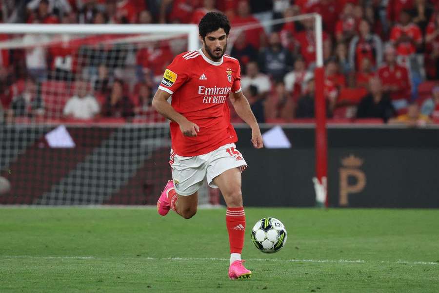 Gonçalo Guedes vai voltar a jogar pelo Benfica