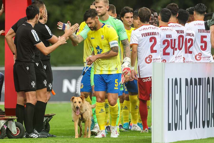 Capitães do Arouca e do AVS entraram no campo acompanhados por cães de um canil