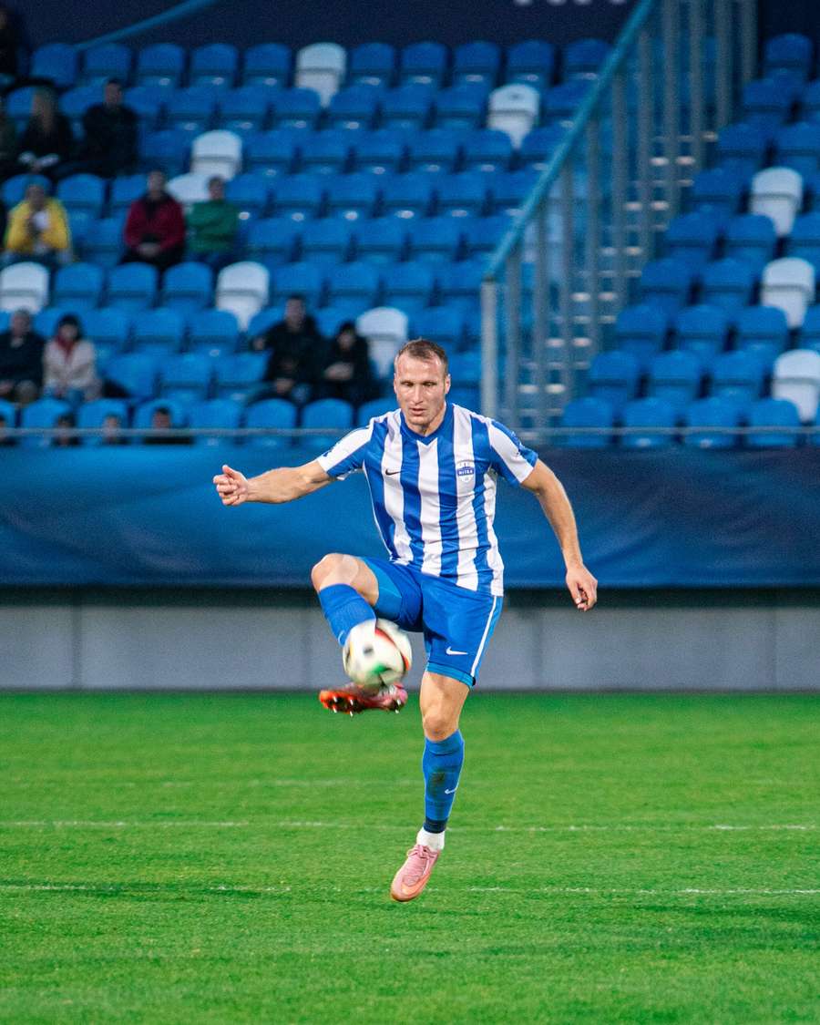 Štetina háji nitrianske farby. Štetina háji nitrianske farby.