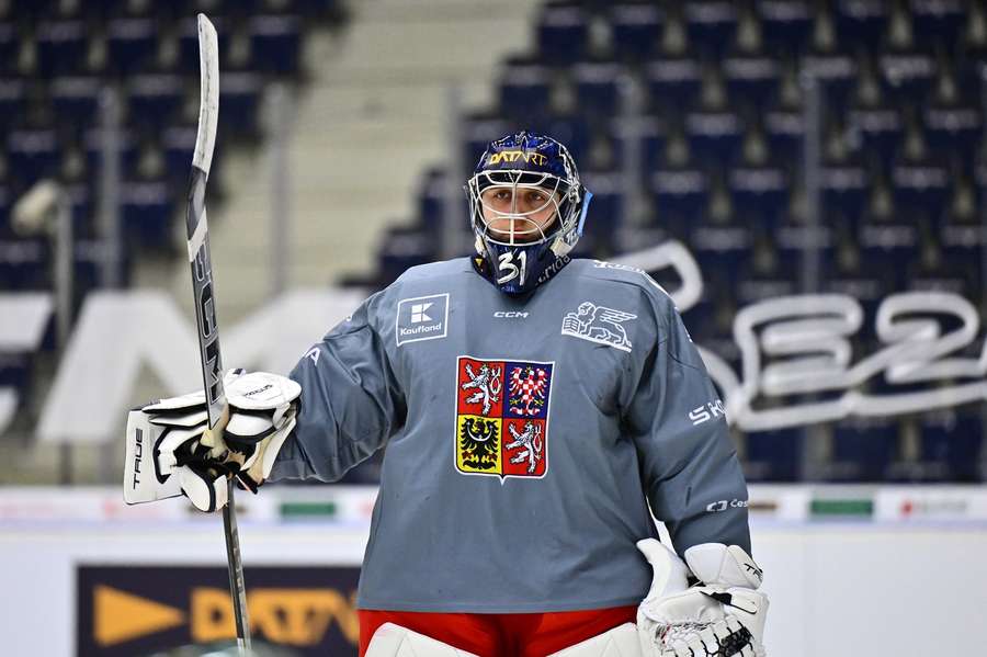 Malík v tréninkovém procesu české reprezentace. Malík v tréninkovém procesu české reprezentace.