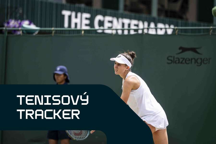Pohánková získala titul z Wimbledonu.