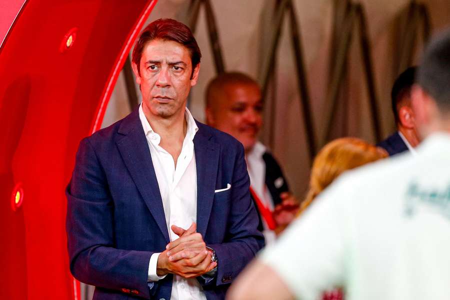 Rui Costa, presidente do Benfica