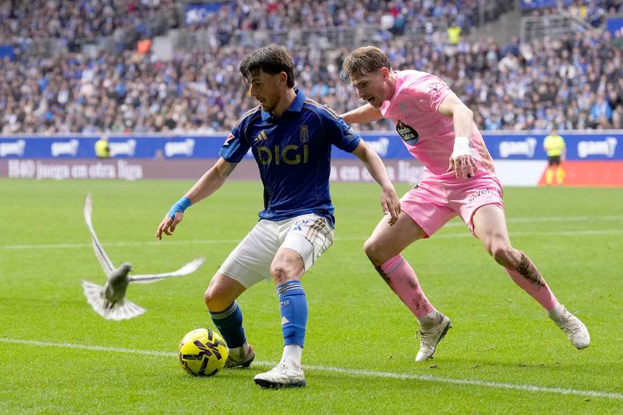 Oviedo e Celta defrontaram-se na 17.ª jornada da LaLiga Oviedo e Celta defrontaram-se na 17.ª jornada da LaLiga