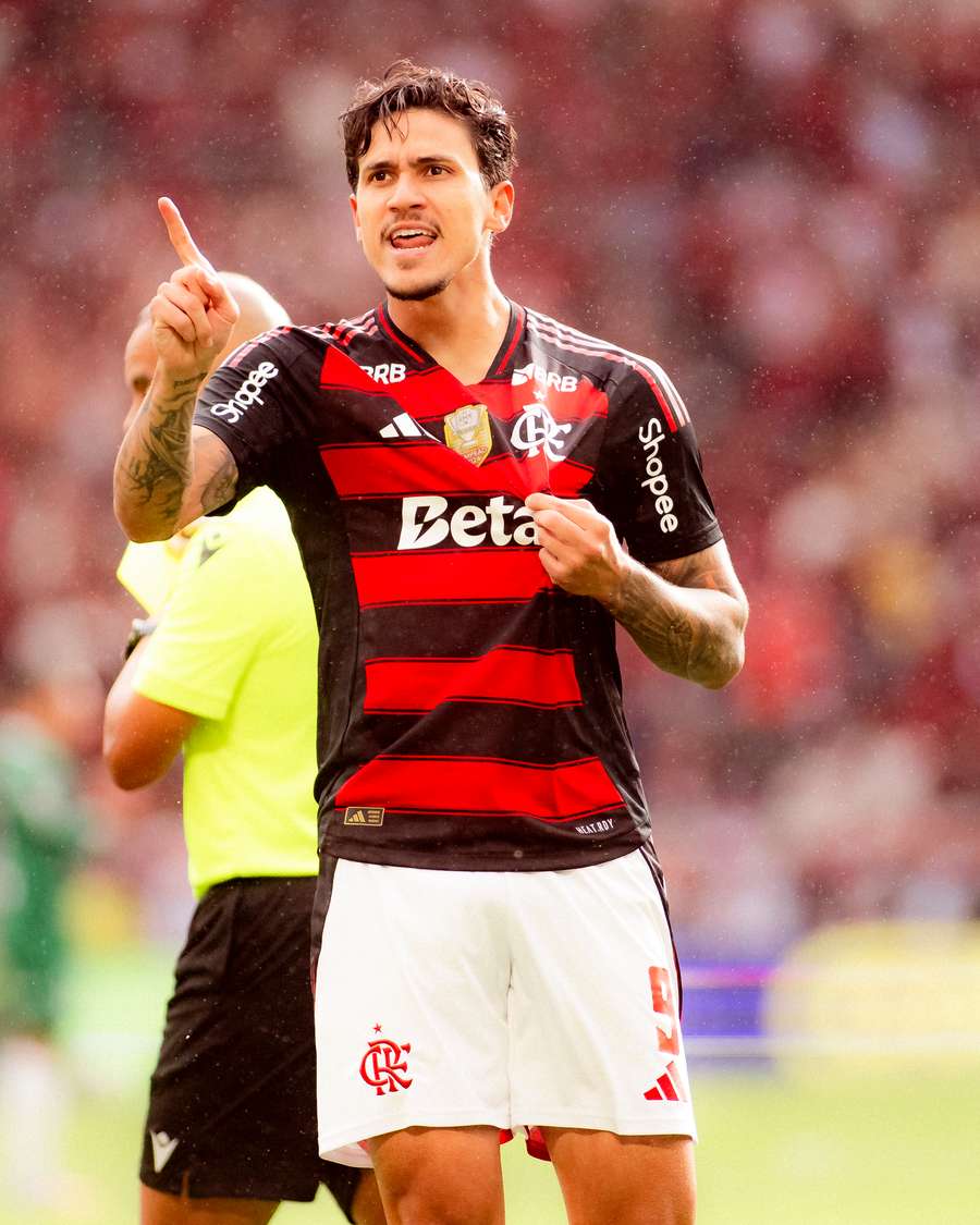 Flamengo de Pedro é o vice-líder do Brasileirão Flamengo de Pedro é o vice-líder do Brasileirão