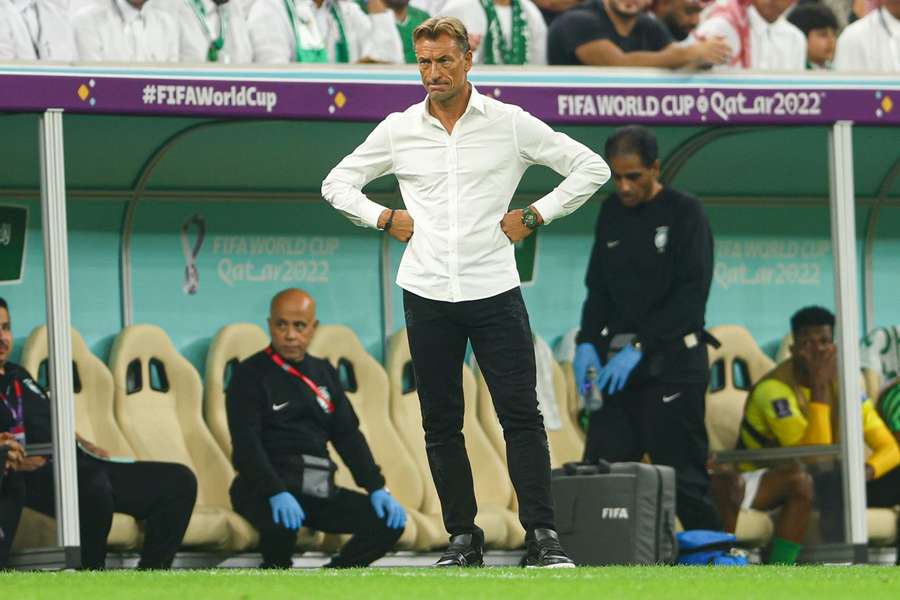 Renard in de dug-out van Saoedi-Arabië tijdens het WK van 2022