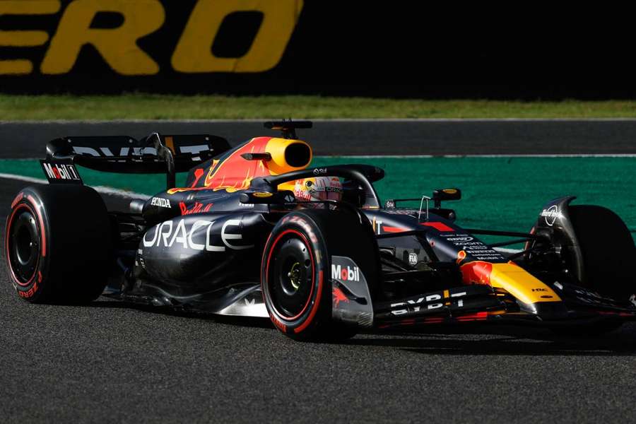 Max Verstappen put Red Bull on pole postion