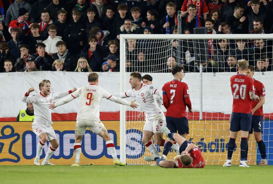 Denmark celebrate their equaliser