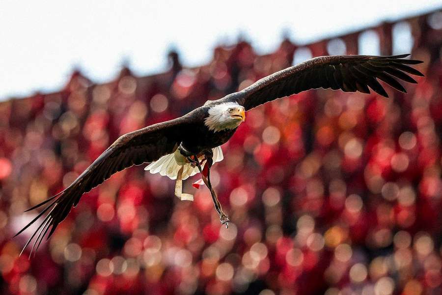 Fenerbahçe tinha anunciado que iria defrontar o Benfica na Eusébio Cup