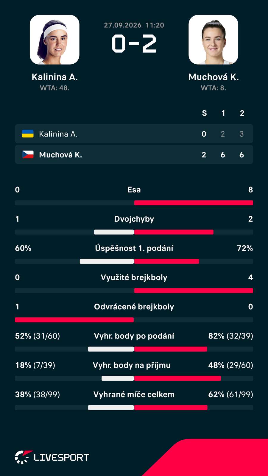 Statistika zápasu.