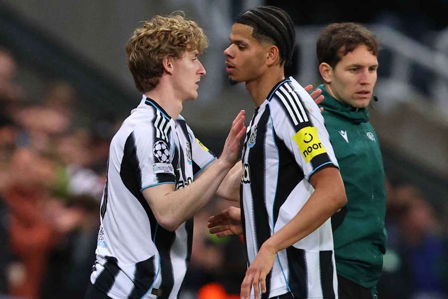 Shearer blasts Gordon over Newcastle bench role