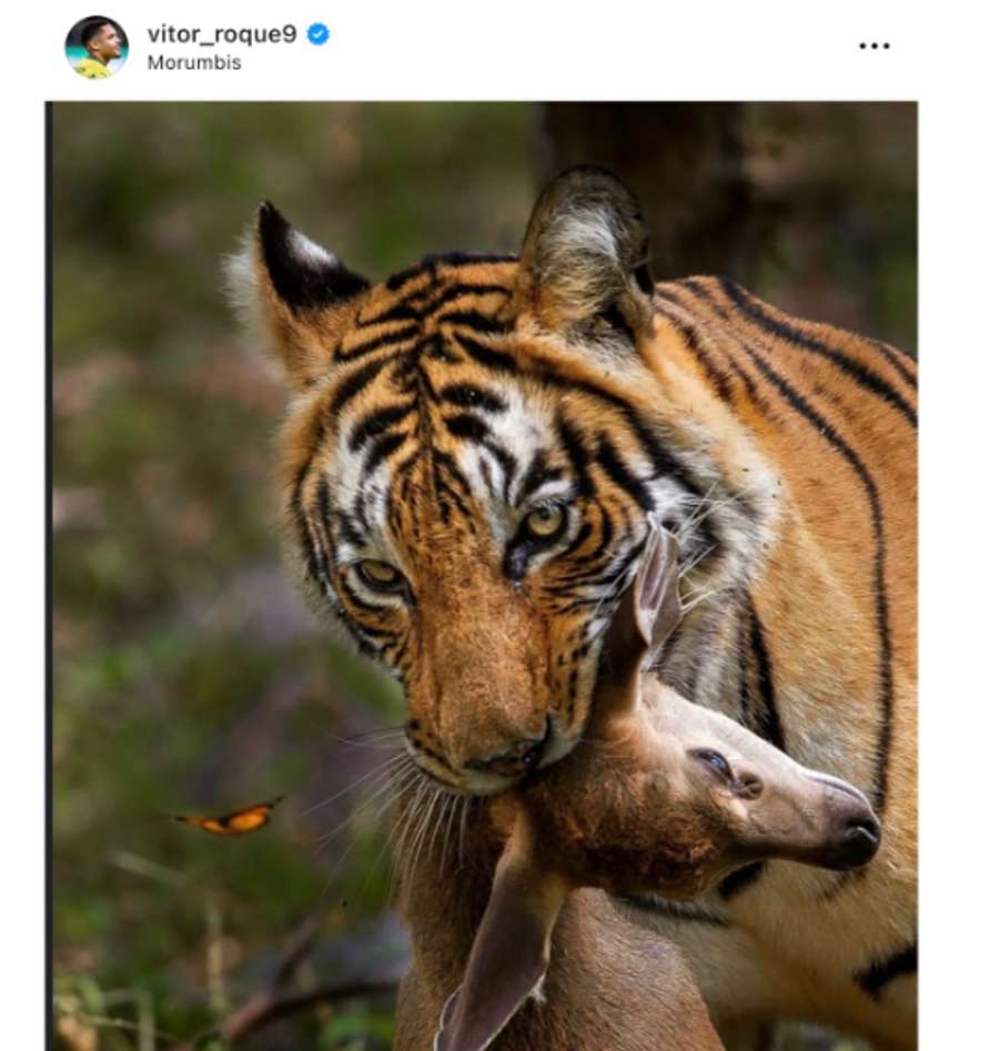 Postagem de Vitor Roque após a vitória no clássico