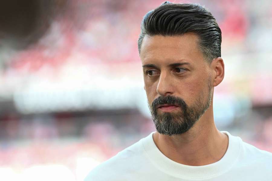 Sandro Wagner