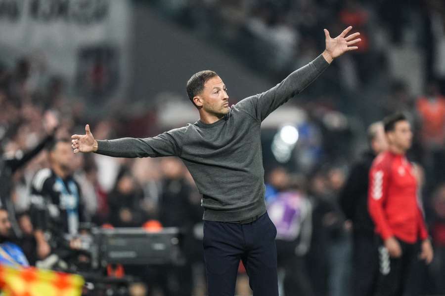 Trenér Fenerbahce Domenico Tedesco. Trenér Fenerbahce Domenico Tedesco.
