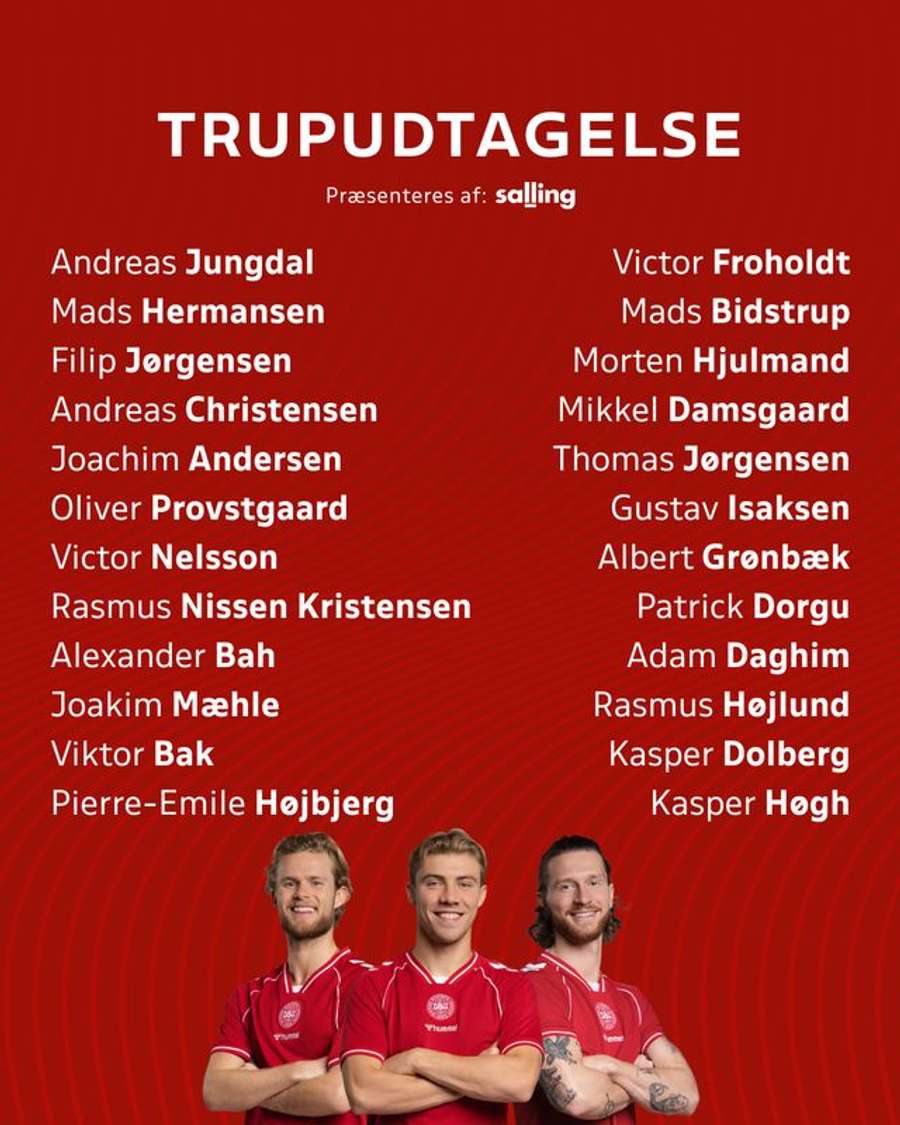 Det danske landshold
