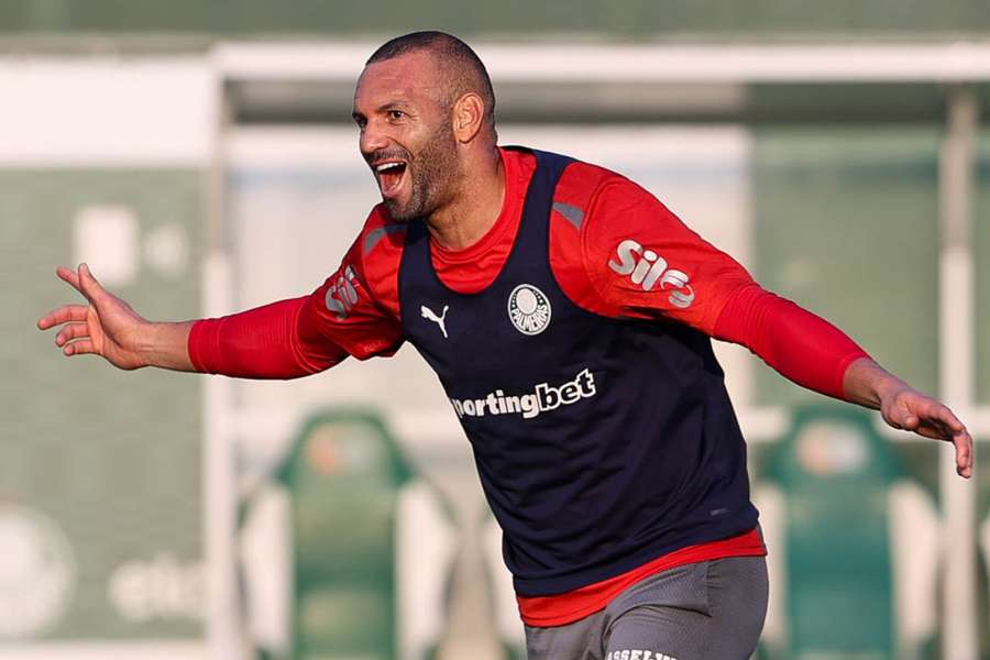 O palmeirense chegou ao seu 48º jogo sem levar gol