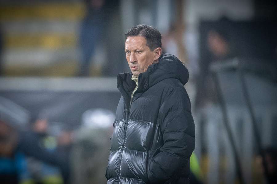 Roger Schmidt joined Benfica in the summer